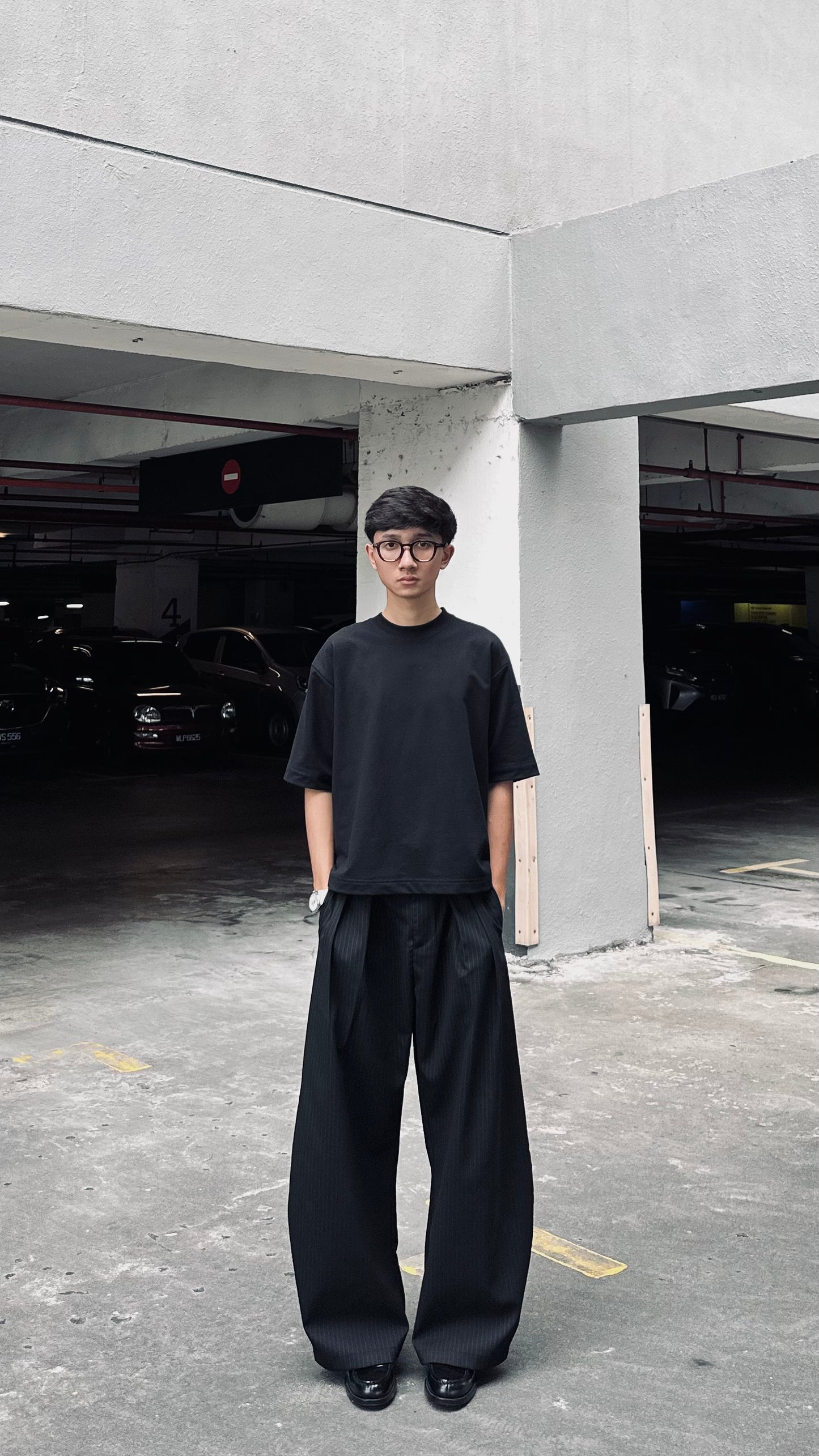 Pleated Stripe Pants