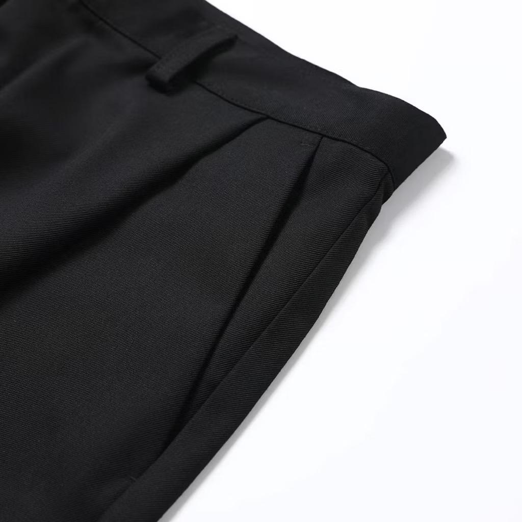 Pleated Pants V2