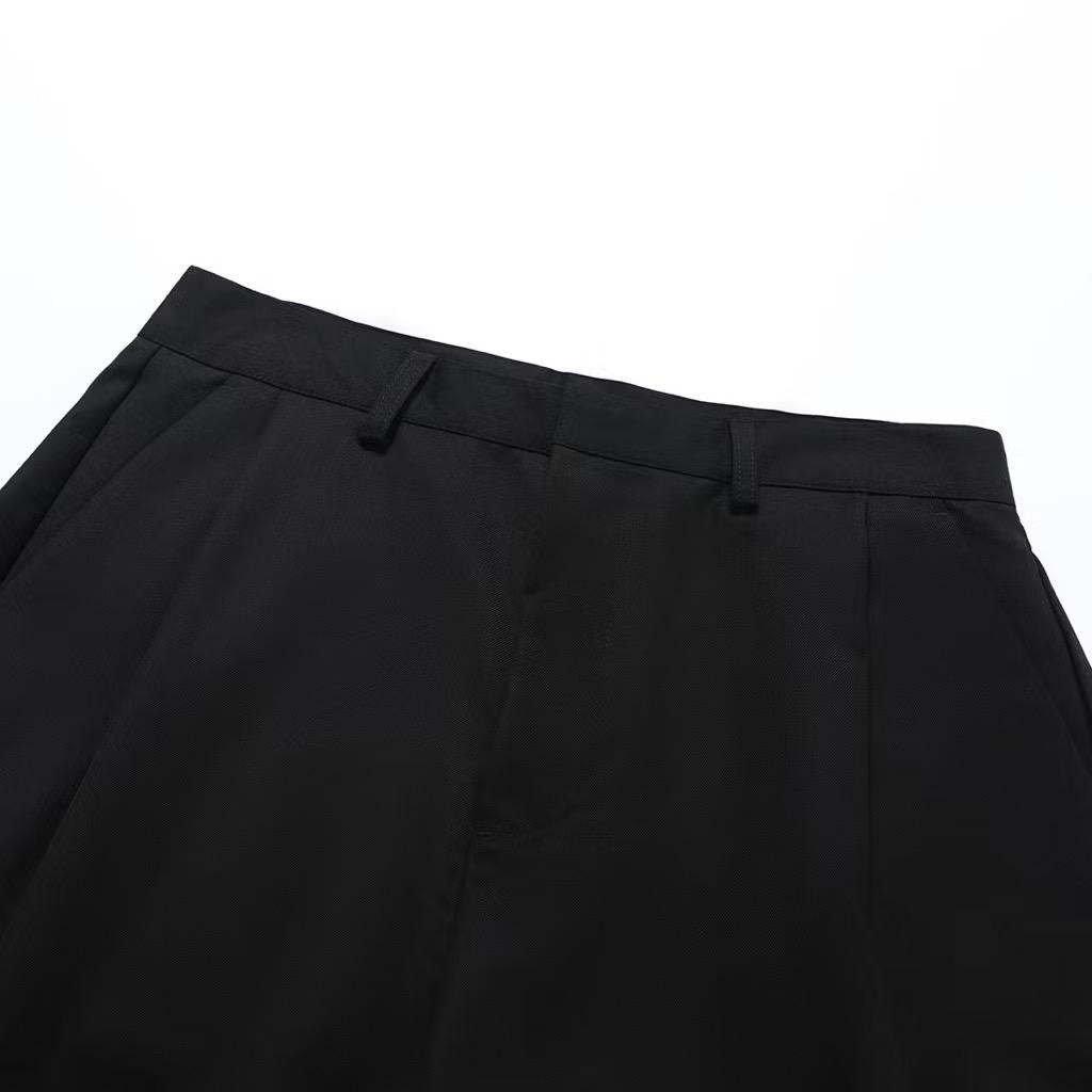 Pleated Pants V2